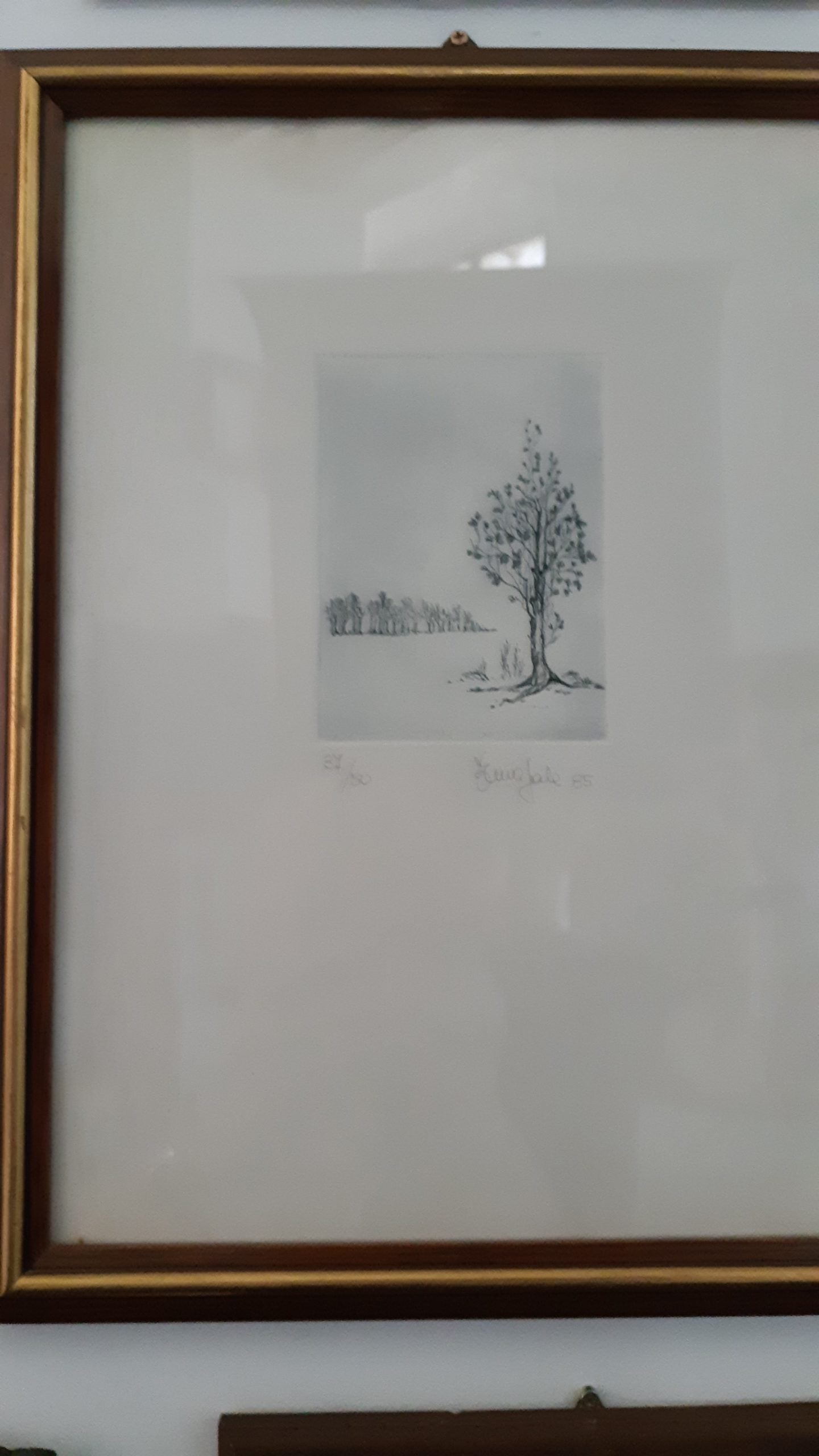 Acquaforte alberi - NONèdabuttare