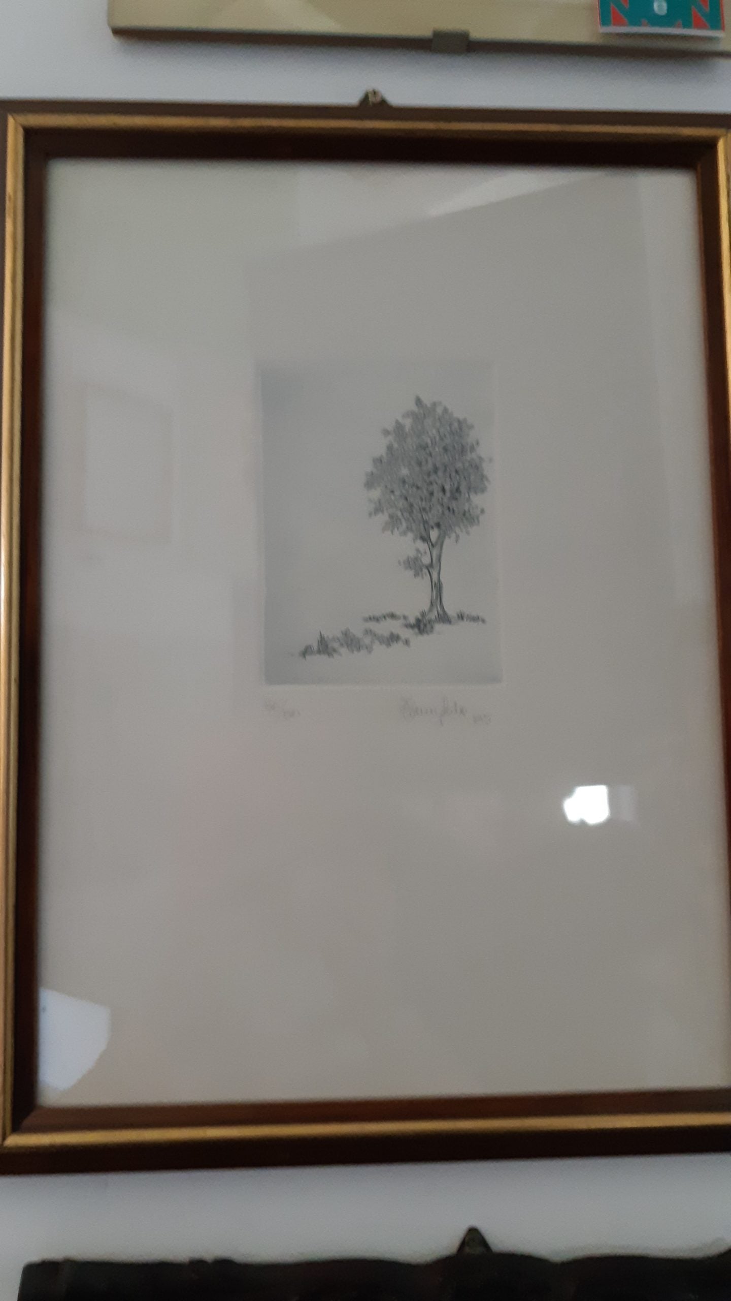 Acquaforte alberi - NONèdabuttare