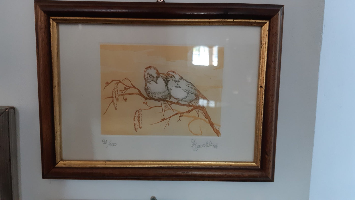 Acquaforte passerotti - NONèdabuttare