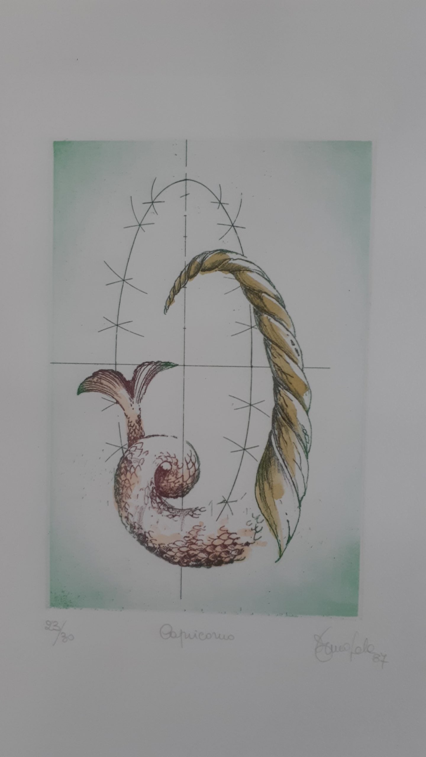 Incisioni segni zodiacali - NONèdabuttare