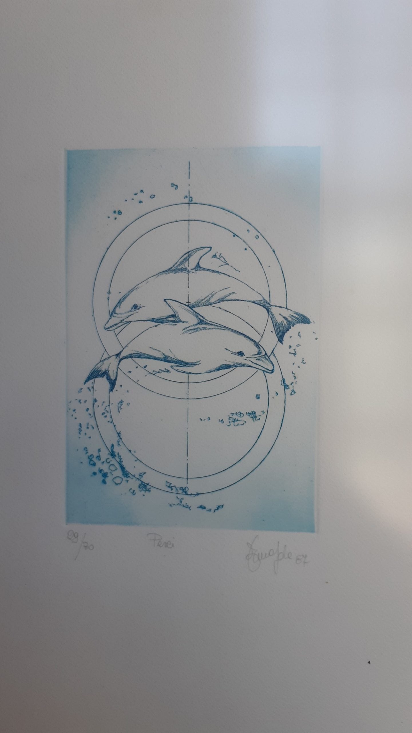 Incisioni segni zodiacali - NONèdabuttare