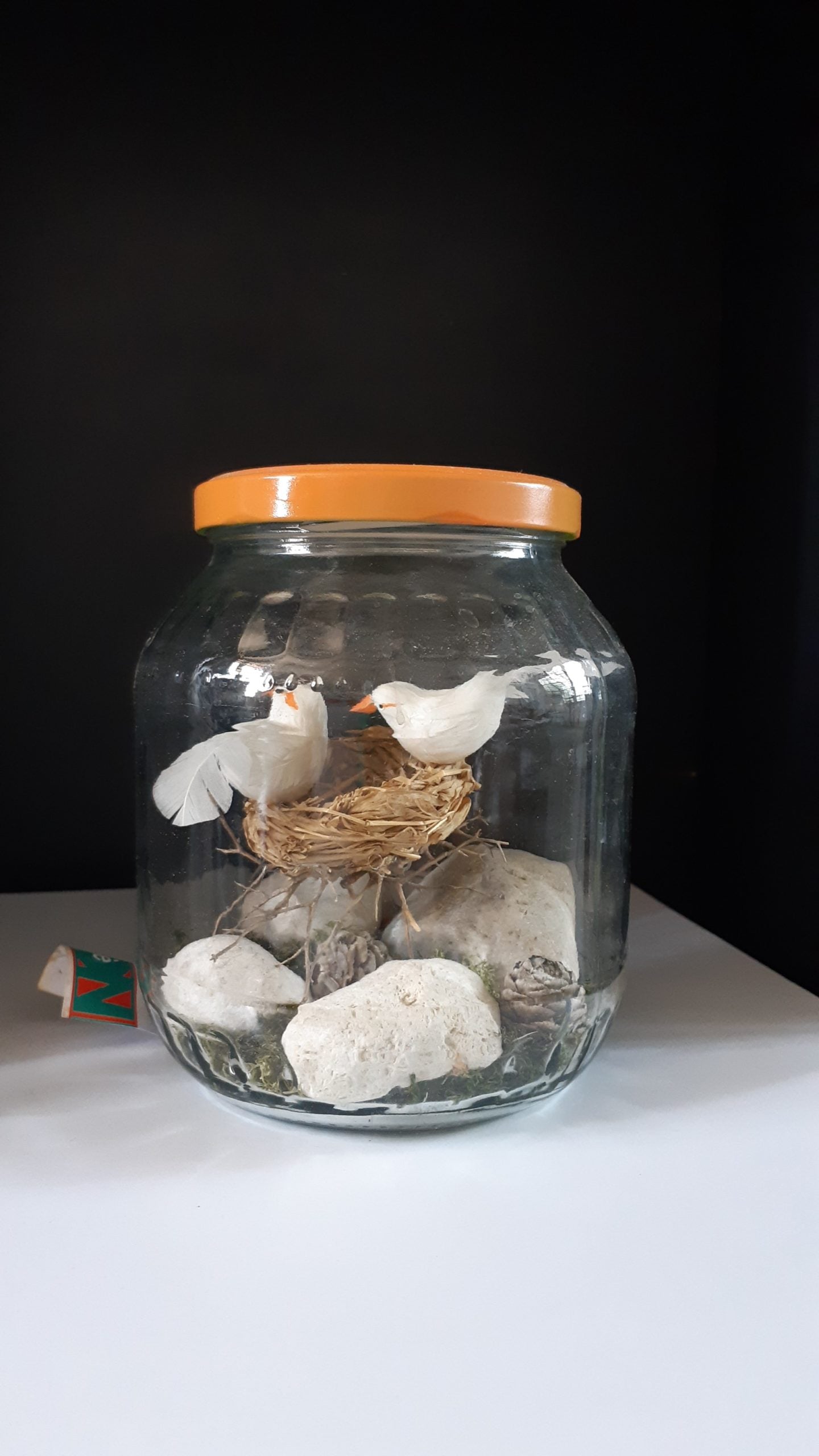 Vaso con nido uccellini - NONèdabuttare
