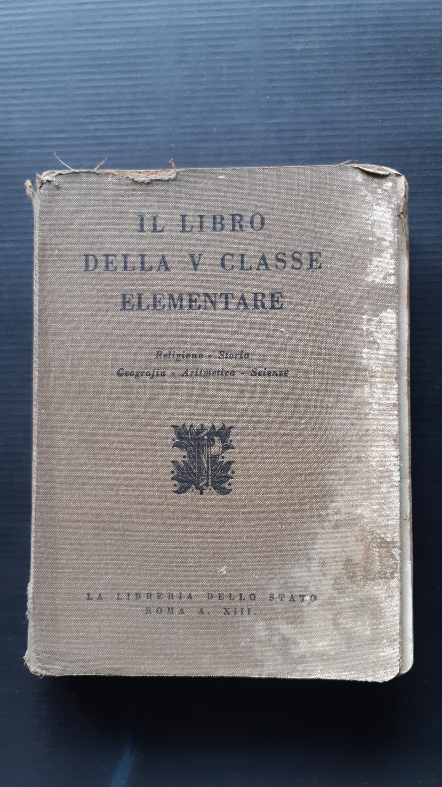 Il libro della V classe elementare - NONèdabuttare