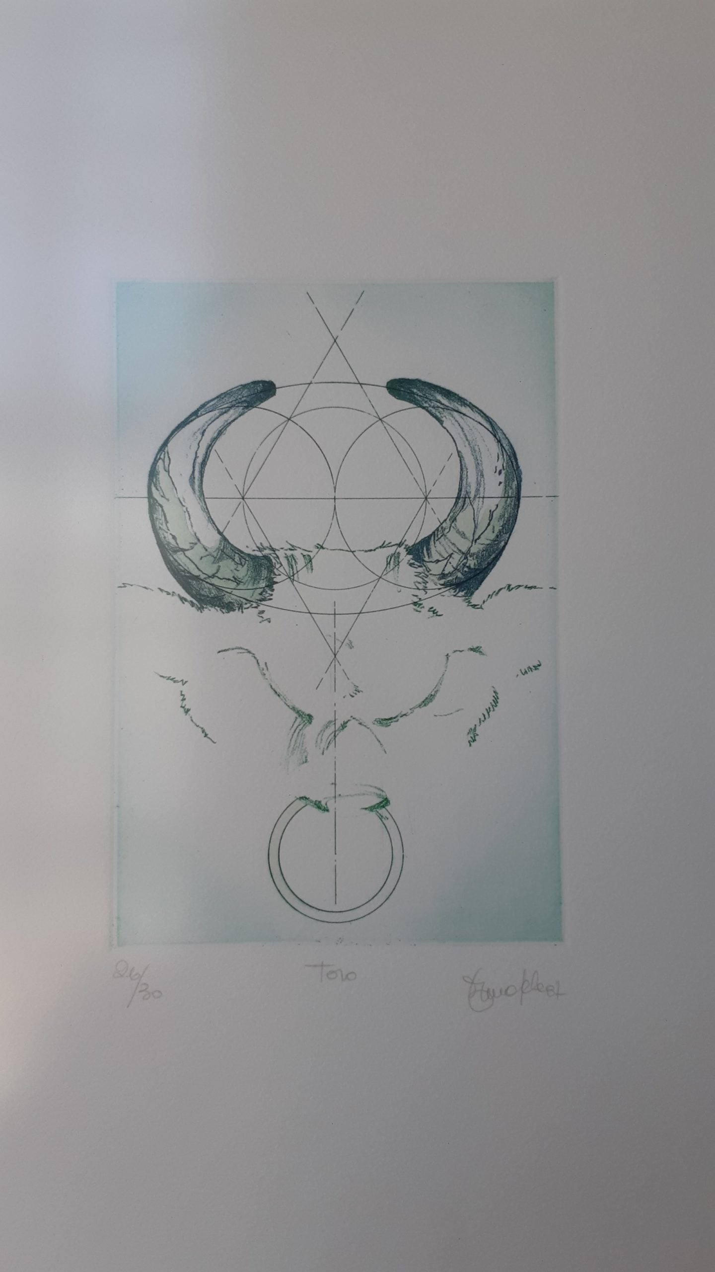 Incisioni segni zodiacali - NONèdabuttare