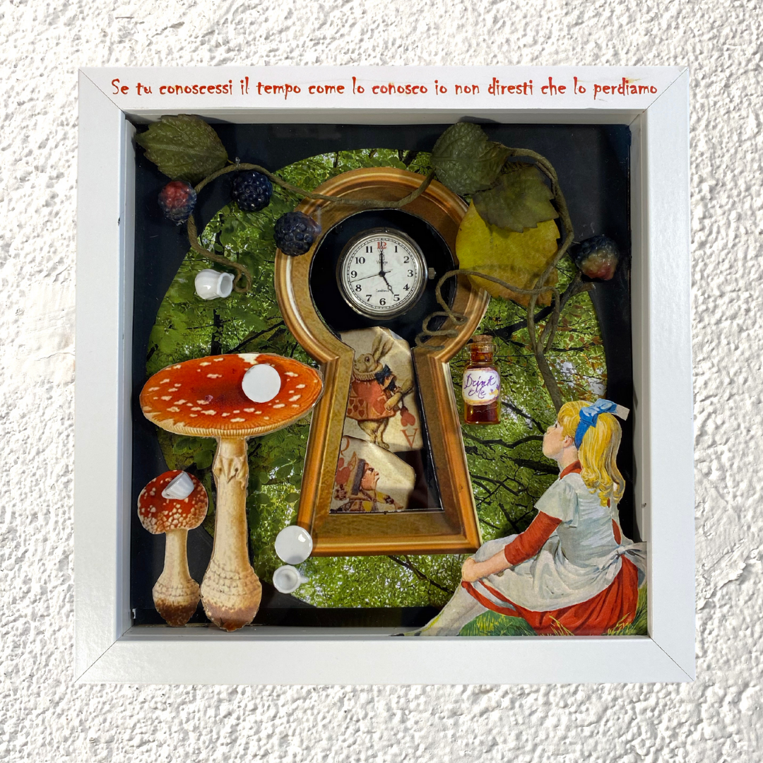 Shadow Box - Alice nel paese delle meraviglie - NONèdabuttare