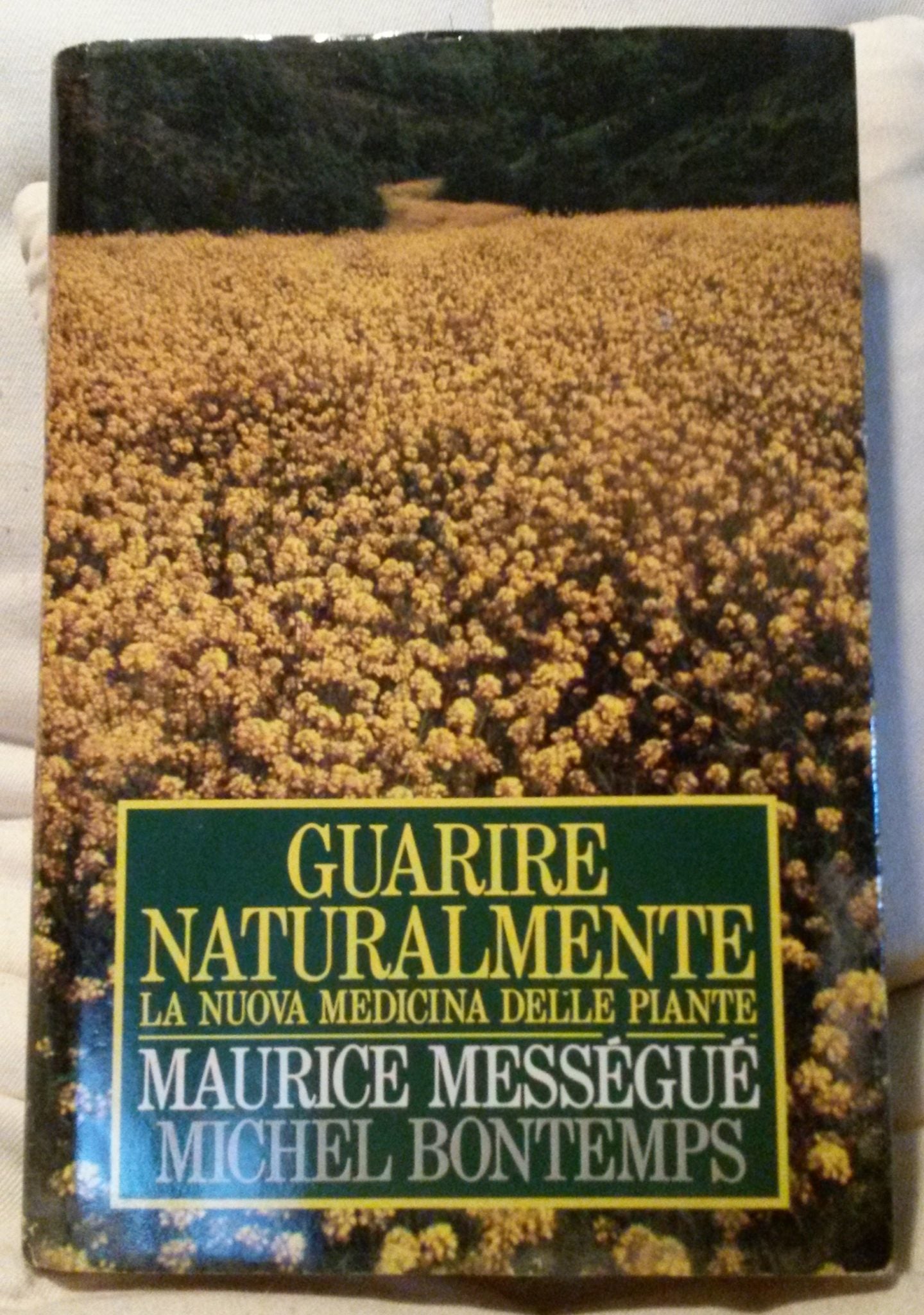 Guarire naturalmente - NONèdabuttare