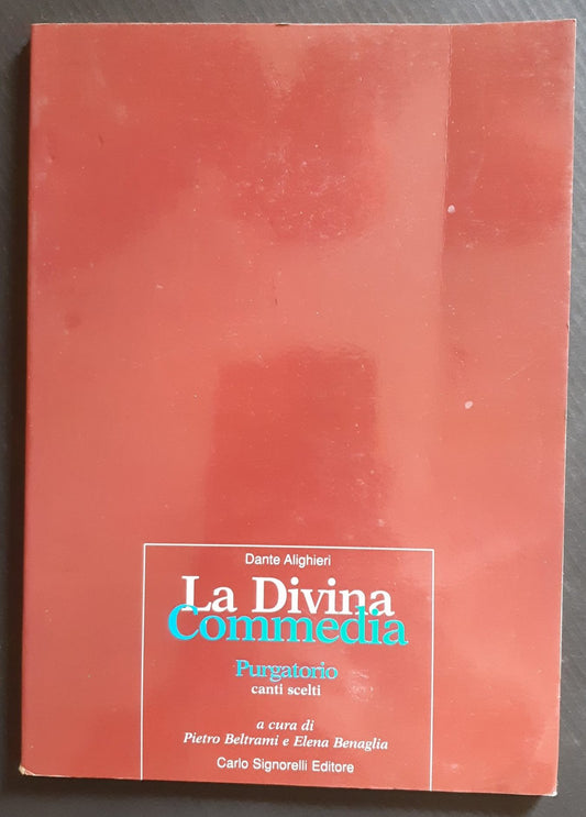 La divina commedia - Purgatorio - NONèdabuttare