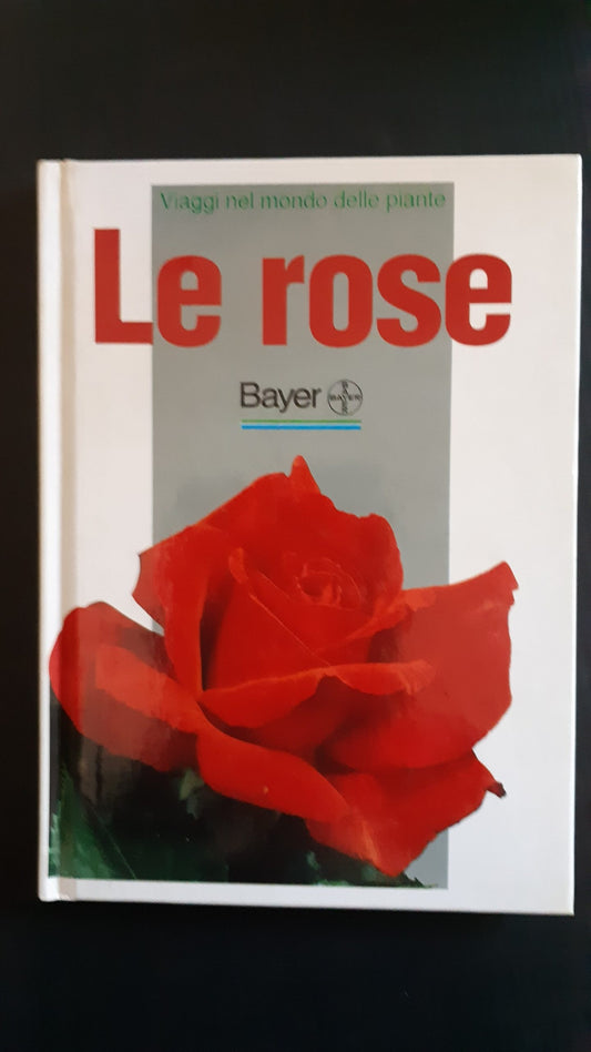 Le rose - NONèdabuttare