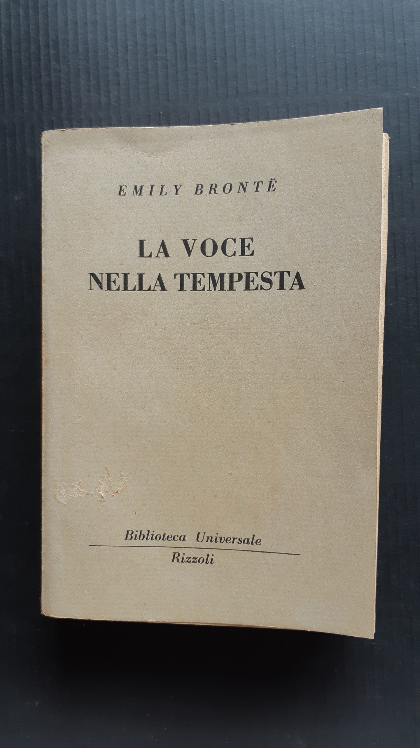 La voce nella tempesta - NONèdabuttare