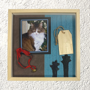 Shadow Box "Pet Therapy" - NONèdabuttare